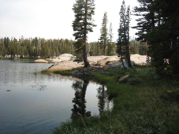 Deer lake in evening