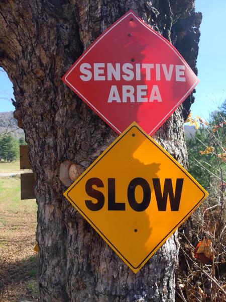 Sensitive Area Slow