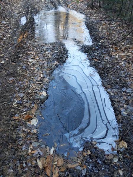 Frozen puddle