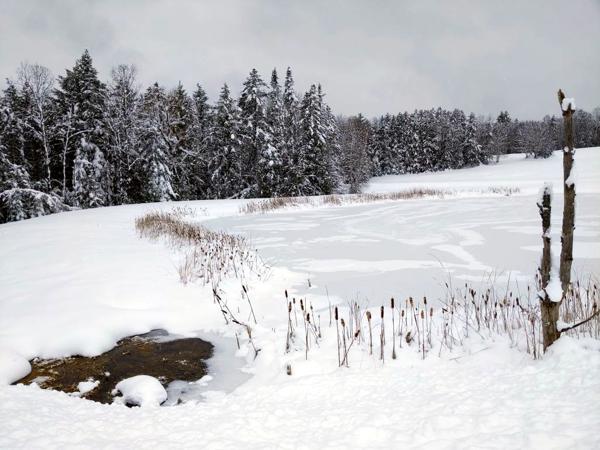 Frozen pond