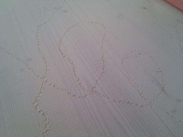 There was so much dust left over from final stage of floor sanding that flies left highly visible tracks.