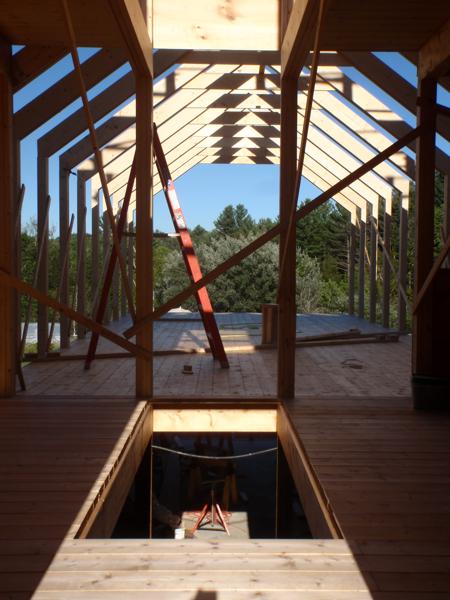 Rafters on the one story section immediately after raising.  View is from future front door, with stair hole to basement in foreground.