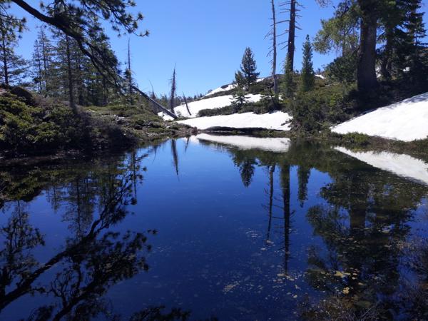 Grouse Lakes, Sierra Nevada