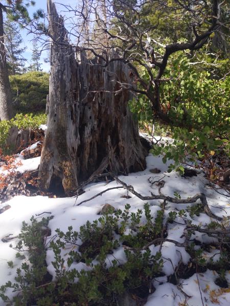 Snow at Upper Rock Lake