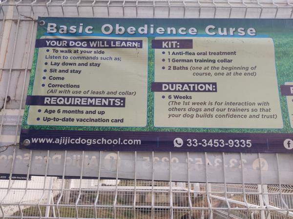 Amusing typo, Ajijic