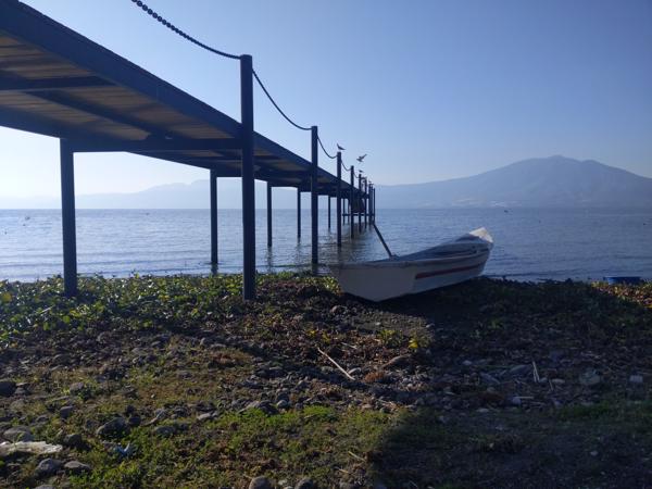 Morning, Lake Chapala.  Unfortunately, the lake is not swimmable.