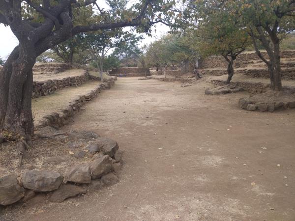 A ball court at Guachimontones.  Supposedly the winner of the game would be sacrificed to the gods by having his heart cut out.
