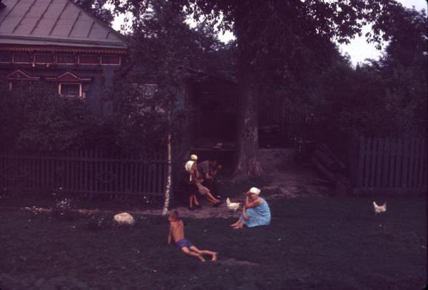Another picture of a rural scene taken from a moving train (or possibly bus).