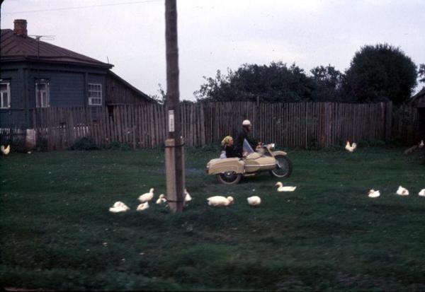 Yet another picture from a moving vehicle.  The ducks don't seem to be bothered.