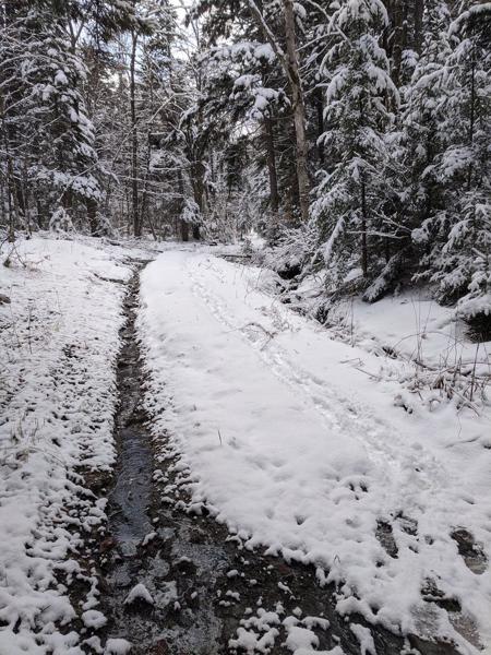 Boot tracks on snowmobile trail