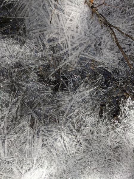 Ice crystals on melting puddle