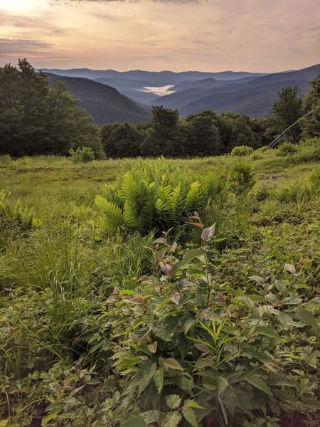 View from Middlebury College Snow Bowl