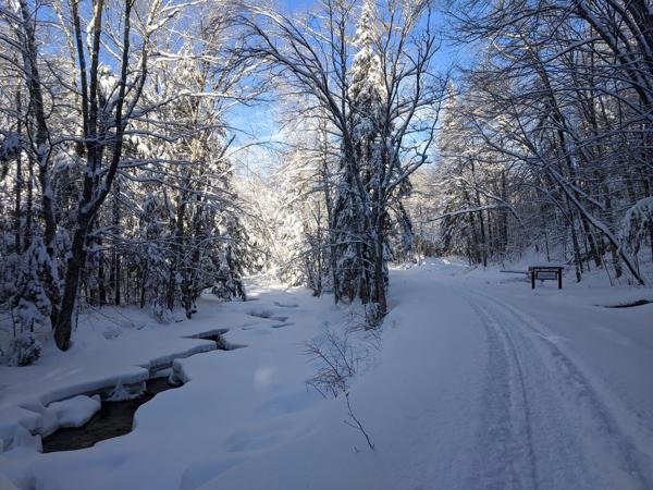 Ski trail at Texas Fails
