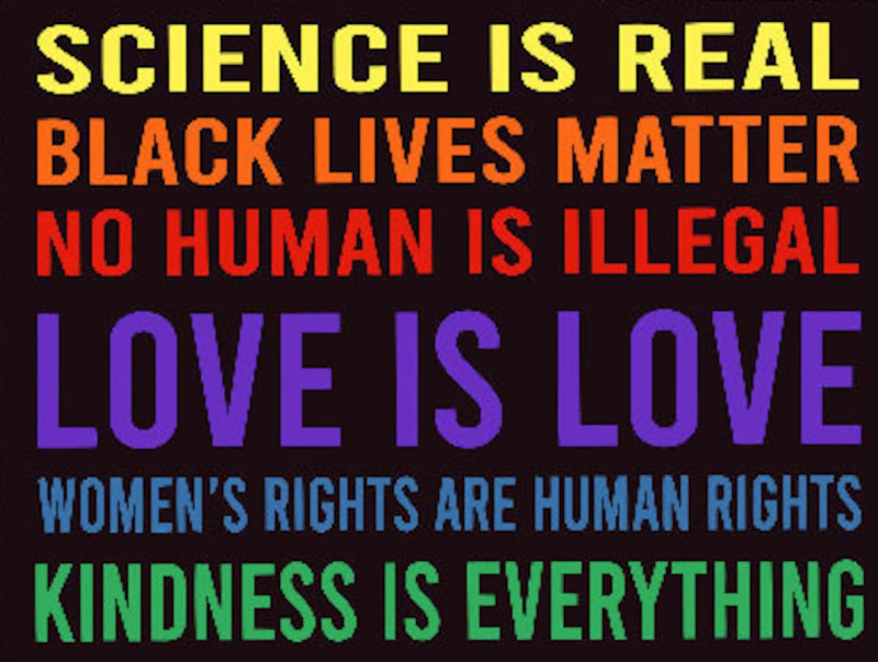 Virtue Signalling Lawn Sign